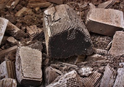 Palladium – neue Höchststände werden auch 2018 erwartet