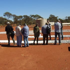 Gold Road Resources: Projektbesichtigung beim australischen Börsenhighflyer nach Ressourcenvervielfachung‏