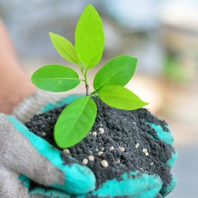 Phosphate: Kaum bekannt und doch so unendlich wichtig!
