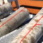 Liontown Resources für den „Explorer des Jahres 2019“ nominiert.