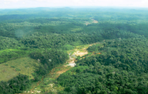 Goldrausch in Brasilien - Cabral Gold exploriert reiche Bodenschätze