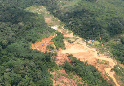 Cabral Gold stößt auf neue mineralisierte Struktur nördlich von Cuiú Cuiú