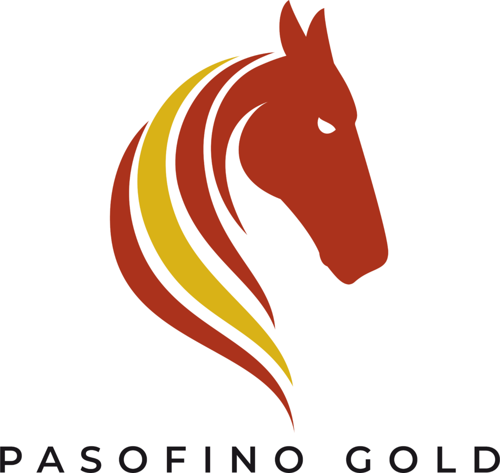 Pasofino Gold Ltd. Logo