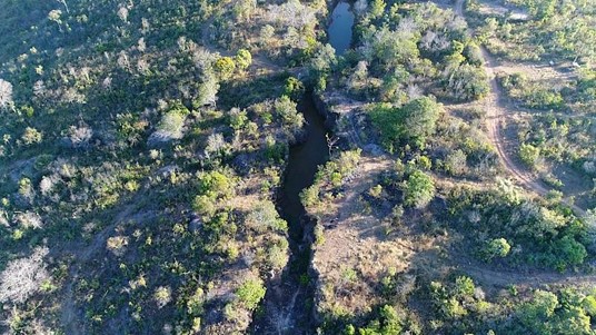 Brasilien: Im grünsten Land der Erde gibt es auch viel Gold. – Foto: TriStar Gold
