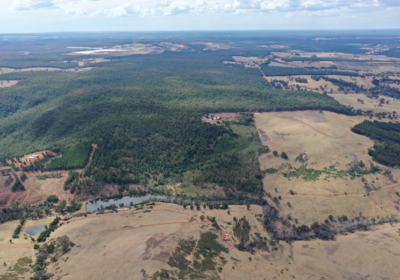 Galan Lithium: Erste Feldarbeiten bei „Greenbushes South“