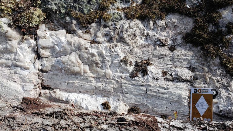 Investoren setzen auf Kanadas Lithium-Hotspots - Patriot Battery Metals, Rock Tech, Snow Lake Resources und Foremost Lithium als Profiteure