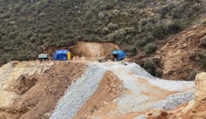 Element79 Gold: Update zur „Management Cease Trade Order“