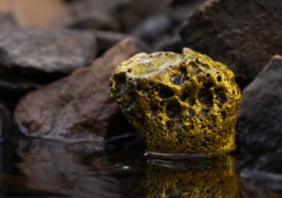Gold und Silber: Der Weltmarkt ruft nach mehr Produktion – vergebens?