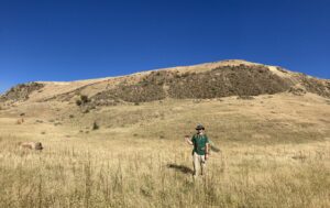 NevGold legt erste eigene Mineralressourcenschätzung für Nutmeg Mountain vor