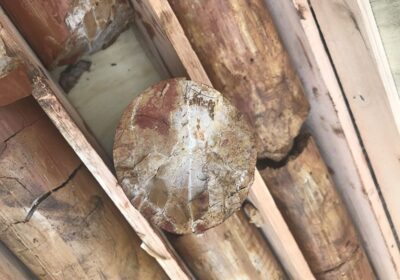 Ionic Rare Earths: Nach Phase-5-Bohrungen mit Volldampf zur Energiewende und EU-Versorgung mit Seltenen Erden