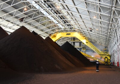 Dauerhaft viel Nickel, vorübergehend zu wenig Zink