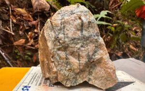 Quimbaya Gold: Hochgradige Gold- und Silberfunde untermauern Potenzial in Kolumbien