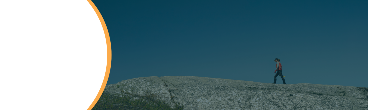 Q2 Metals Corp. Hintergrund