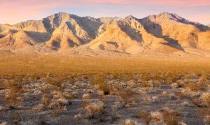 Rush Gold startet in Nevada durch - Explorationsprogramm markiert nächsten Schritt im US-Goldboom