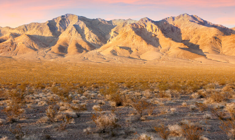 Rush Gold startet in Nevada durch - Explorationsprogramm markiert nächsten Schritt im US-Goldboom