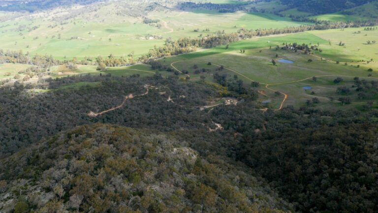 Goldhausse rückt kleine Lagerstätten ins Blickfeld:  Kuniko sichert bohrbereites Projekt in Australien