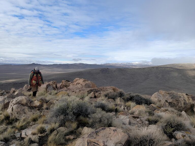 Rush Gold startet Exploration auf Legal Tender und Skylight