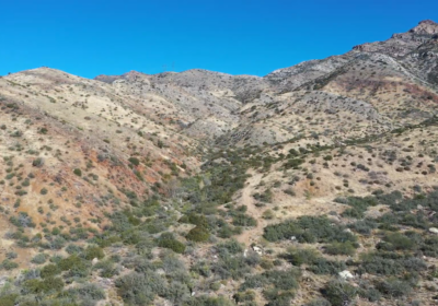 Fokus auf Gold, Silber und Kupfer: Prismo Metals startet komplett finanziert in Bohrsaison 2026