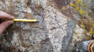 Rohstoffreichtum und Bullenmarkt: Skandinaviens Metallexplorer zeigen Europas Chancen