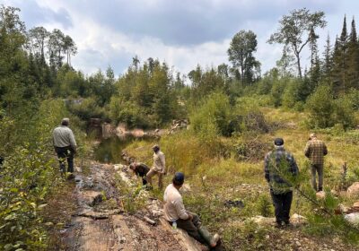 In 50 Mio. Unzen Goldregion: Hochgradiger Kanada-Goldexplorer mit spannenden Entwicklungschancen