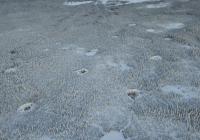 Globale Top-5-Lagerst&auml;tte: Aufstrebender Lithium-Riese war Star der PDAC&nbsp;2026