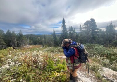 Gold, Kupfer, Uran im Fokus: Neufundland und Labrador erleben Bergbauboom