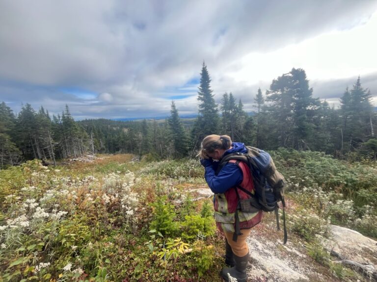 Gold, Kupfer, Uran im Fokus: Neufundland und Labrador erleben Bergbauboom