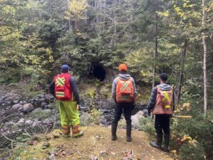 Die Jagd beginnt: Gold Hunter startet 10.000 Meter Bohrprogramm in Neufundland