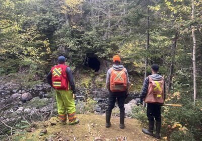 Die Jagd beginnt: Gold Hunter startet 10.000 Meter Bohrprogramm in Neufundland