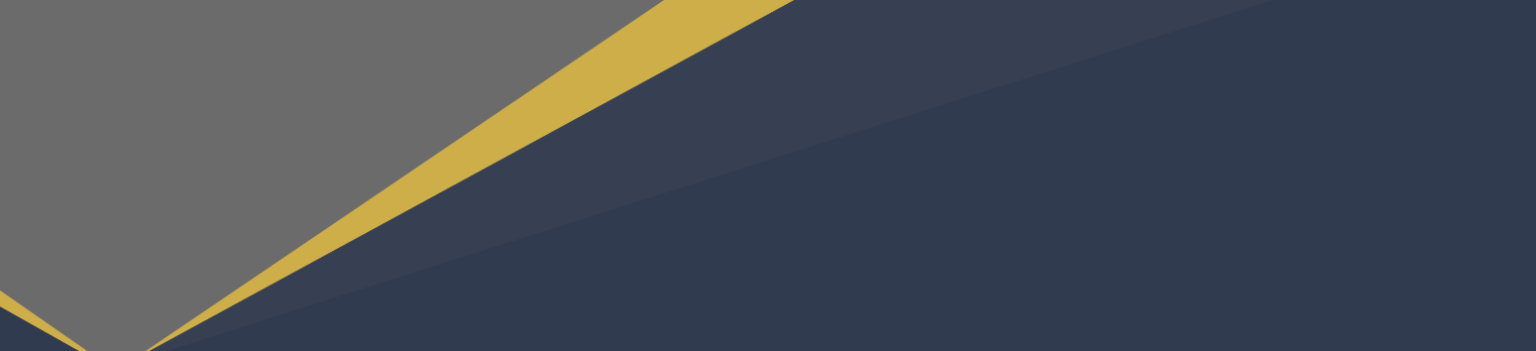 FireFox Gold Corp. Hintergrund