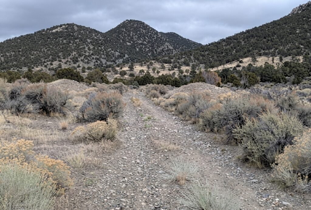 Besondere Chancen: Polymetallexplorer nimmt hochgradiges Silberprojekt in Nevada ins Visier