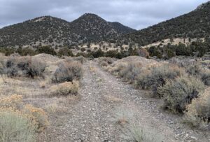Besondere Chancen: Polymetallexplorer nimmt hochgradiges Silberprojekt in Nevada ins Visier