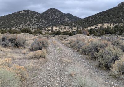 Besondere Chancen: Polymetallexplorer nimmt hochgradiges Silberprojekt in Nevada ins Visier
