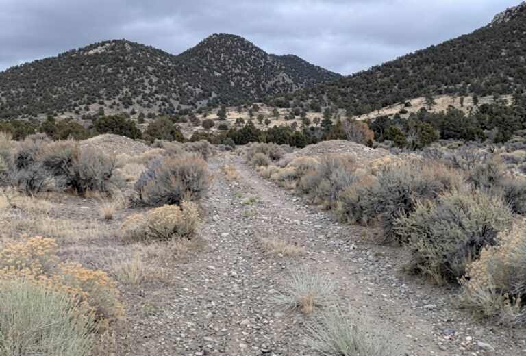 Besondere Chancen: Polymetallexplorer nimmt hochgradiges Silberprojekt in Nevada ins Visier