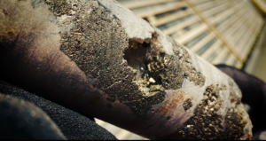 Starker Partner, viel Potenzial: Agnico Eagle investiert weiter in finnischen Goldexplorer