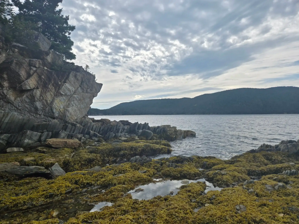 Gold Hunter Resources: KI-Analyse liefert 40 Goldziele vor erstem Bohrprogramm