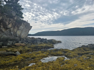 Gold Hunter Resources: KI-Analyse liefert 40 Goldziele vor erstem Bohrprogramm