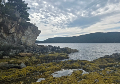 Gold Hunter Resources: KI-Analyse liefert 40 Goldziele vor erstem Bohrprogramm