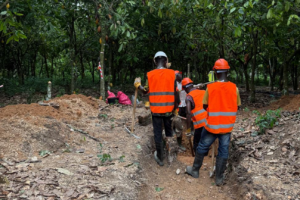 Afrika-Projektentwickler startet Bohrprogramm und holt Weltklasse-Lithiumexperten an Bord