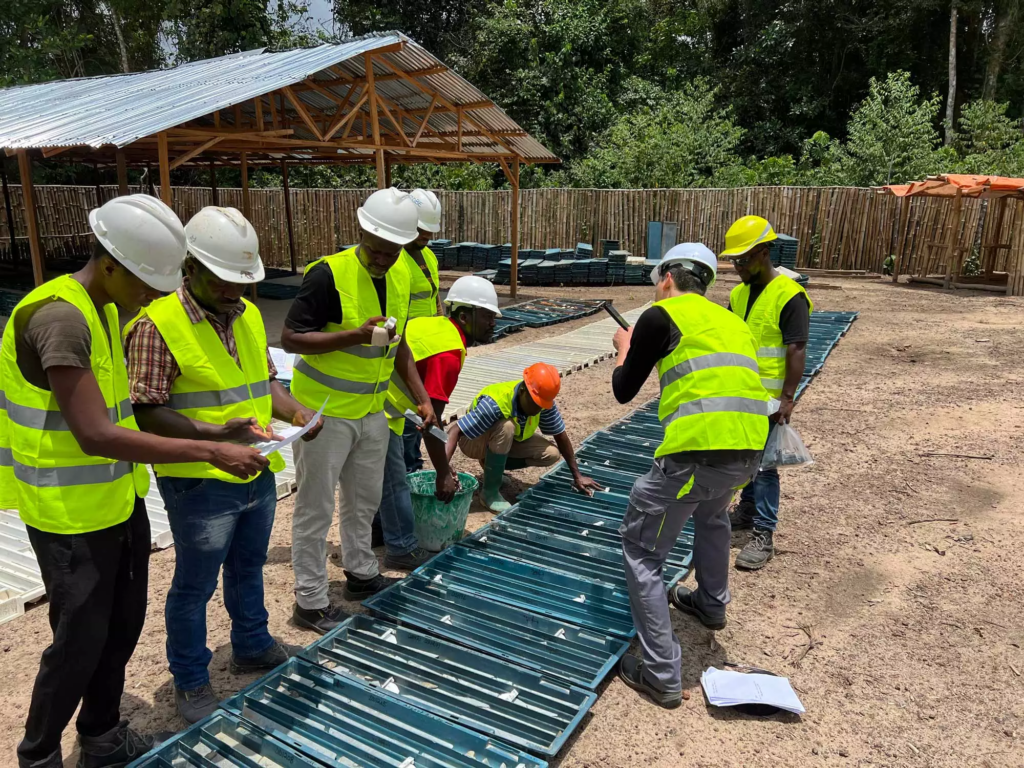 Goldjagd in Westafrika: Chancenreicher Explorer mit Millionen-Unzen-Potenzial in Liberia