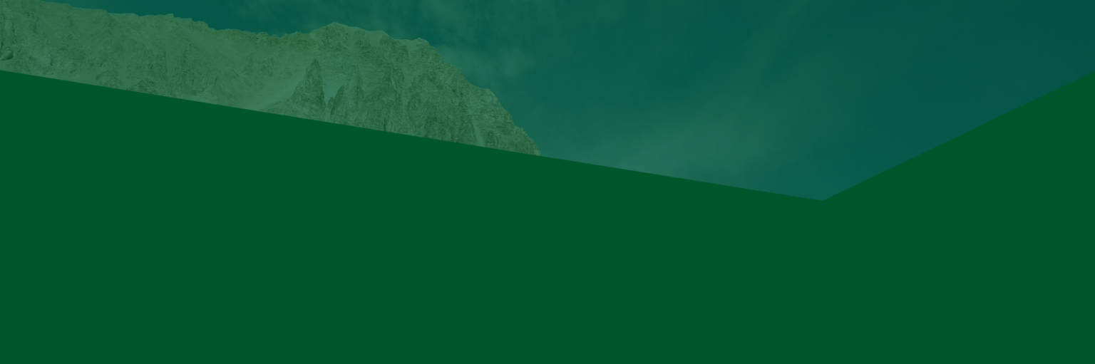 Argentina Metals Corp. Hintergrund