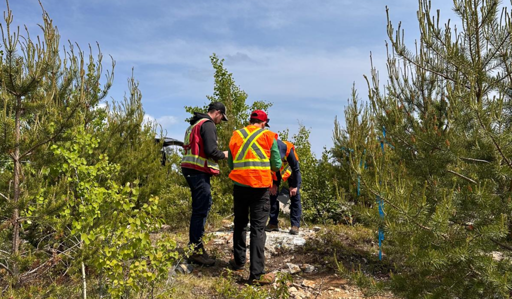 Erfolgreiche Proben: Ontario-Goldexplorer meldet Spitzengehalte von bis zu 31 g/t Gold