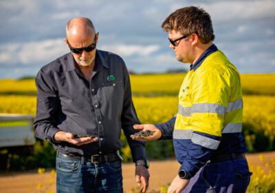 Neue Baufinanzierung: Graphitverarbeitung in Australien nimmt konkrete Form an